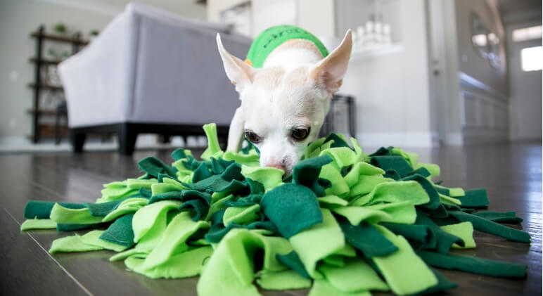 homemade snuffle mat for dogs